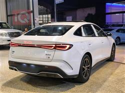 بي واي دي سيل 06 DM-i